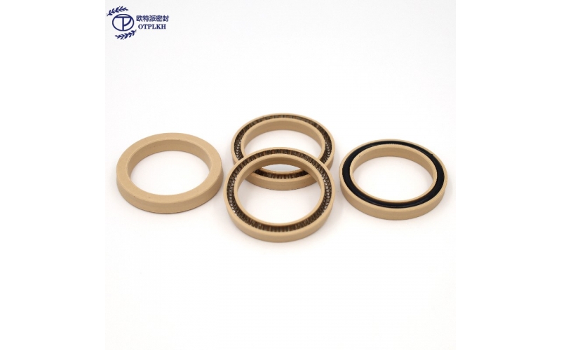Spring seal ring for holes PTFE added polyphenyl ester V-shaped stainless steel spring silicone O-ring OTPLKH customized