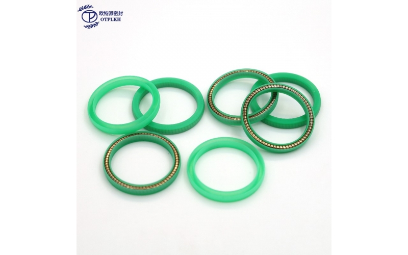 Universal spring seal for hole shaft green ultra-high molecular weight polyethylene H type 316 low temperature spring customized